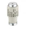 Tavná pojistka DIAZED 50A D3 Siemens 440V ac, 500 V ac Tavná pojistka DIAZED 50A D3 Siemens 440V ac, 500 V ac