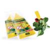 Lepové šipky proti škůdcům AGROBIO FloraBand 5ks Lepové šipky proti škůdcům AGROBIO FloraBand 5ks