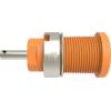 Schützinger DI SEB 6525 Ni / OR bezpečnostní vestavná zásuvka 4 mm Rovná oranžová 1 ks Schützinger DI SEB 6525 Ni / OR bezpečnostní vestavná zásuvka 4 mm Rovná oranžová 1 ks
