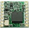 RF Solutions Modul LoRa -148 dBm RF Solutions Modul LoRa -148 dBm
