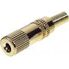 TRU COMPONENTS 1559798 jack konektor 3.5 mm spojka, rovná Pólů: 3 stereo zlatá 1 ks TRU COMPONENTS 1559798 jack konektor 3.5 mm spojka, rovná Pólů: 3 stereo zlatá 1 ks