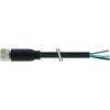 Murrelektronik 7000-08061-6110200 neupravený zástrčkový konektor pro senzory - aktory M8 x 1 zásuvka, rovná 2.00 m Počet pólů: 4 1 ks