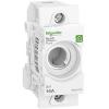 Schneider Electric R9J01116 patice pojistky 1 ks Schneider Electric R9J01116 patice pojistky 1 ks