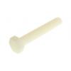 RS PRO Šroub s vnitřním šestihranem, Obyčejný, Nylon, M12, délka: 70 mm RS PRO Šroub s vnitřním šestihranem, Obyčejný, Nylon, M12, délka: 70 mm