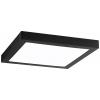 Paulmann 71026 Abia LED stropní svítidlo 22 W černá Paulmann 71026 Abia LED stropní svítidlo 22 W černá