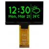 Displej OLED, řada: MCOT128064H1V-GM 2.42 in Zelená Pasivní matice 128 x 64 pixelů Jazýček Midas I2C, Paralelní, SPI