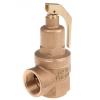 Přetlakový ventil 5 bar N-542-025 5 BAR Nabic Valve Safety Products 1 in 1 in Přetlakový ventil 5 bar N-542-025 5 BAR Nabic Valve Safety Products 1 in 1 in
