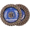 PFERD TOOLS 44694121 lamelový kotouč Průměr 115 mm Ø otvoru 22.23 mm 5 ks PFERD TOOLS 44694121 lamelový kotouč Průměr 115 mm Ø otvoru 22.23 mm 5 ks