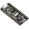ADAFRUIT INDUSTRIES Vývojová deska, ATmega328, SAM, MCU 2590, Mikrokontrolér, METRO Mini 328, Vývojová deska ADAFRUIT INDUSTRIES Vývojová deska, ATmega328, SAM, MCU 2590, Mikrokontrolér, METRO Mini 328, Vývojová deska
