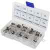 Max Hauri 135395 sada trubičkových pojistek (Ø x d) 5 mm x 20 mm T pom...