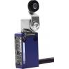Telemecanique Sensors OsiSense ATEX D Standard format Páka s válečkem Koncový spínač 2 NO/2 NC IP66, IP67 Slitina zinku Telemecanique Sensors OsiSense ATEX D Standard format Páka s válečkem Koncový spínač 2 NO/2 NC IP66, IP67 Slitina zinku