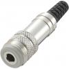 TRU COMPONENTS 718927 jack konektor 3.5 mm zásuvka, rovná Pólů: 4 stereo stříbrná 1 ks TRU COMPONENTS 718927 jack konektor 3.5 mm zásuvka, rovná Pólů: 4 stereo stříbrná 1 ks