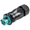 Wieland Electric 96.052.4553.6 konektor Wieland Electric 96.052.4553.6 konektor