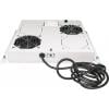 Intellinet 712781 19 palec 2 x 1 U šedá