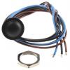 APEM Tlačítkový spínač, řada: IA IP67 SPDT Panel 16.2 mm 2A 24 V dc APEM Tlačítkový spínač, řada: IA IP67 SPDT Panel 16.2 mm 2A 24 V dc