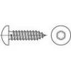 TOOLCRAFT 145167 čočkové šrouby do plechu 4.8 mm 19 mm T profil DIN 7981 ocel galvanizováno zinkem 500 ks