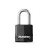 Master Lock Visací zámek Klíč Odolnost vůči povětrnostním vlivům, Ocel Venkovní 8 mm třmen, Černá 49mm Master Lock Visací zámek Klíč Odolnost vůči povětrnostním vlivům, Ocel Venkovní 8 mm třmen, Černá 49mm