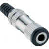 Lumberg 152002 jack konektor 3.5 mm zásuvka, rovná Pólů: 3 stereo stříbrná 1 ks Lumberg 152002 jack konektor 3.5 mm zásuvka, rovná Pólů: 3 stereo stříbrná 1 ks