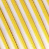 Polymaker CA03027 Panchroma™ Dual Silk vlákno pro 3D tiskárny PLA plast Vícebarevné, Hedvábně lesklé 1.75 mm 1000 g Koruna, zlatá, stříbrná 1 ks Polymaker CA03027 Panchroma™ Dual Silk vlákno pro 3D tiskárny PLA plast Vícebarevné, Hedvábně lesklé 1.75 mm 1000 g Koruna, zlatá, stříbrná 1 ks