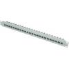 Telegärtner 100007007 24 portů síťový patch panel 483 mm (19) CAT 6A 1 U šedobílá (RAL 7035) osazený