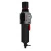 Regulátor s filtrem, řada: Excelon Plus 40 μm, přípojka portu: 1/4 in, max. tlak: 10 bar Ruční 1/4 in Norgren Regulátor s filtrem, řada: Excelon Plus 40 μm, přípojka portu: 1/4 in, max. tlak: 10 bar Ruční 1/4 in Norgren