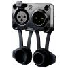 Rean AV RRX3MF-Z-012-1 XLR konektor zástrčka, vestavná, zásuvka, vestavná Pólů: 3 černá 1 ks