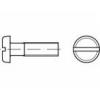 TOOLCRAFT TO-5451555 šrouby s válcovou hlavou M3 20 mm příruba mosaz g...