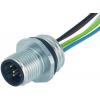 Murrelektronik neupravený zástrčkový konektor pro senzory - aktory, 7000-14121-9750020, piny: 5, 0.20 m, 1 ks
