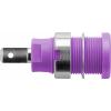 Schützinger DI SEB 6450 Ni / PVI bezpečnostní vestavná zásuvka 4 mm fialová 1 ks Schützinger DI SEB 6450 Ni / PVI bezpečnostní vestavná zásuvka 4 mm fialová 1 ks
