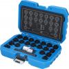 Sada zámků kol pro VW, 22 ks Brilliant Tools BT691390