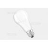 LED žárovka E27 13 W, 6500 K, 1521 lm