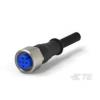 Kabel ovladače snímače, A: Vnitřní, A: Rovný 4, B: Odbočný vodič, B: Vnitřní, 250V, IP67, řada: M12 TE Connectivity 3 m Kabel ovladače snímače, A: Vnitřní, A: Rovný 4, B: Odbočný vodič, B: Vnitřní, 250V, IP67, řada: M12 TE Connectivity 3 m