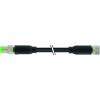 Murrelektronik 7000-88005-6300030 upravený zástrčkový konektor pro senzory - aktory M8 x 1 zástrčka, rovná, zásuvka, rovná 0.30 m Počet pólů: 3 1 ks
