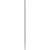 Bosch Accessories 2608836620 2608836620 příklepový vrták 12 mm SDS plus 1 ks