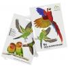 Gardigo Stickers Native Birds nálepka do okna s obrazem ptáka Druh funkce odstrašení 1 ks