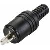 TRU COMPONENTS TC-10336000 konektor reproduktoru zástrčka, rovná Pólů: 2 1 ks
