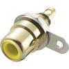 TRU COMPONENTS 719246 cinch konektor zásuvka, vestavná vertikální Pólů: 2 žlutá 1 ks TRU COMPONENTS 719246 cinch konektor zásuvka, vestavná vertikální Pólů: 2 žlutá 1 ks