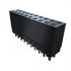 Patice PCB, řada: ESW, orientace těla: Svislé, rozteč: 2.54 mm Deska-deska, počet kontaktů: 40, počet řad: 2, Průchozí Patice PCB, řada: ESW, orientace těla: Svislé, rozteč: 2.54 mm Deska-deska, počet kontaktů: 40, počet řad: 2, Průchozí