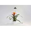 OSRAM HOMELIGHTING 4058075115934 LED Energetická třída (EEK2021) D (A ...