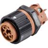 Wieland Electric RST16I3KSBS 15 30SW 46.432.3030.1 upravený kulatý fas...