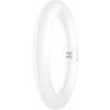 LEDVANCE LED trubice Energetická třída (EEK2021): E (A - G) G10q kulatý tvar 11 W denní bílá (Ø x d) 212.00 mm x 212.00 mm 1 ks LEDVANCE LED trubice Energetická třída (EEK2021): E (A - G) G10q kulatý tvar 11 W denní bílá (Ø x d) 212.00 mm x 212.00 mm 1 ks