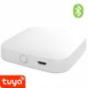 Bluetooth chytrá brána pro TUYA Smart Life | GATEWAY BHUB-W