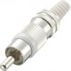 TRU COMPONENTS 719332 cinch konektor zástrčka, rovná Pólů: 2 bílá 1 ks TRU COMPONENTS 719332 cinch konektor zástrčka, rovná Pólů: 2 bílá 1 ks