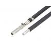 Molex Předkrimpovaný kabel Mini-Fit, řada: 219671 Odbočný vodič, délka kabelu: 300 mm Černá Molex Předkrimpovaný kabel Mini-Fit, řada: 219671 Odbočný vodič, délka kabelu: 300 mm Černá