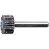 PFERD TOOLS 44400045 Vějířový brusný kotouč Průměr 15 mm 10 ks PFERD TOOLS 44400045 Vějířový brusný kotouč Průměr 15 mm 10 ks