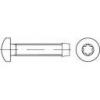 TOOLCRAFT 141251 závitníkové šrouby M4 30 mm T profil DIN 7500 ocel ga... TOOLCRAFT 141251 závitníkové šrouby M4 30 mm T profil DIN 7500 ocel ga...