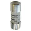 Kazetová pojistka 100A FF 22 x 58 mm Mersen Keramika 700V ac