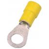 Intercable 180888 ICIQ255 Krimpovací kabelové oko pocínovaný M5 25 mm² 1 ks Intercable 180888 ICIQ255 Krimpovací kabelové oko pocínovaný M5 25 mm² 1 ks
