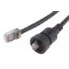 RS PRO Cat5e Ethernetové kabely, Černá, Polyvinylchlorid, A: Rovný 2 m Vnější, B: Přímý Vnější, typ pláště: Nestíněný RS PRO Cat5e Ethernetové kabely, Černá, Polyvinylchlorid, A: Rovný 2 m Vnější, B: Přímý Vnější, typ pláště: Nestíněný