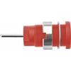 Schützinger DI SEB 6448 Ni / RT bezpečnostní vestavná zásuvka 4 mm červená 1 ks Schützinger DI SEB 6448 Ni / RT bezpečnostní vestavná zásuvka 4 mm červená 1 ks